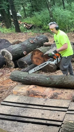Bucking around. #stihl #stihl500i #firewood #chainsaw #wood #back40firewood #woodhound | Back 40 Firewood