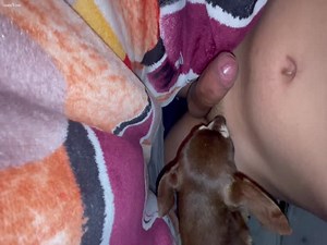 Perro chupa polla de dueño