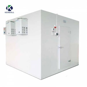 [Hot Item] Industrial Refrigeration Chamber Room/ Fridge Freezer/ Cold Storage Room Price for Sale