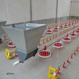 [Hot Item] China Automated Poultry Livestock-Machinery and Equipment Preferential Price Prefabrication