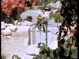 The Spielberg Jewish Film Archive - Ein Hod