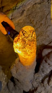 Explore the beauty of Bohol, Philippines! From the white sands of Anda Beach to the iconic Chocolate Hills and an exciting ATV ride, this journey is full of adventure. Discover Guwaon Cave, see adorable tarsiers, and cross the Hanging Bridge. Enjoy a scenic meal at the Loboc Floating Restaurant, try paddleboarding on the Loboc River, and visit the historic Baclayon Church. Watch and experience Bohol’s charm! #BoholAdventure #AndaBeach #ChocolateHills #ATVRide #GuwaonCave #Tarsiers #HangingBridge