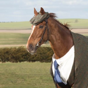 SaltyCracker46 - Twitch