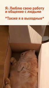 10K views · 33 reactions | ❤️ — если правда 李 Psychologies | Психология Psychologies | Facebook