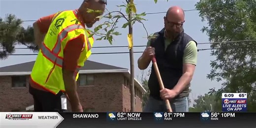 Green Bay neighborhood revitalization efforts continue with tree planting