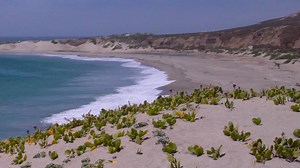 We're thrilled to introduce our newest live cam! Dino Cam is located off the lush island of Hateg, Romania. Watch now to get a rare glimpse of these beautiful creatures long thought extinct: http://goo.gl/qu32EP | explore.org