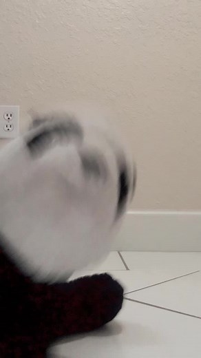 Plush Panda Toy Movements and Features
