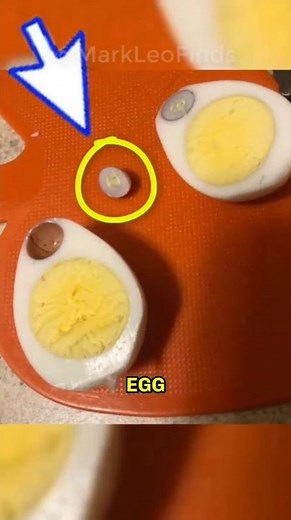 Once-in-a-Lifetime Moments Caught in These Incredible Rare Photos