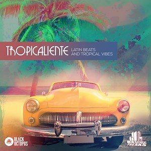 Oh yeah, Muy Caliente! Its time for some straight funkin’ spicy latin flare with Tropicaliente by Basement Freaks! A pack that is filled to the brim with some swanky latin big sounds infused with bold brass sections, skanky skunk guitars, flavorful percussion and dynamite drum kits, plus so much more! Download from : https://blackoctopus-sound.com/product/tropicaliente/ | Basement Freaks