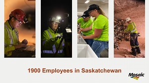 Mosaic is a proud employer in Saskatchewan, with dedicated individuals in Esterhazy, Belle Plaine, Colonsay, and Regina. 👷 Our gratitude is reflected in the competitive salary, resulting in a yearly investment of more than $200M. We take pride in our hardworking team and their daily contributions, above and below the surface. #WeAreMosaic #potash #Saskatchewan #Sask | The Mosaic Company - Canada