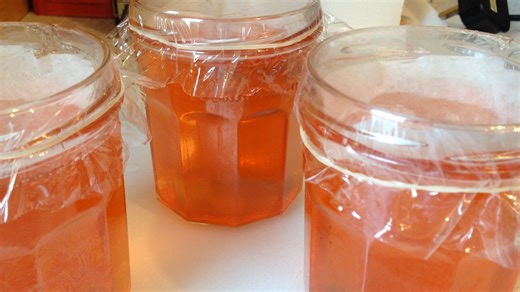 3.9K views · 18 reactions | The gorgeous, coral jewel that is crabapple jelly. Crab apples don't look much, small and sour, they don't taste much either but when they are made into jellies the rosy hues of their skins (which are full pectin) make the most tremendous jelly.... https://www.bbcgoodfood.com/recipes/crab-apple-jelly?  | GrowVeg | Facebook