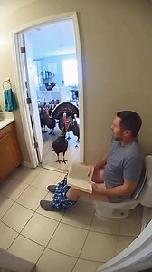 🦃🦃 🚽 | Jack Vale