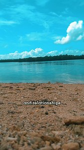 NARCs and Empaths | PoorDad The Survivor