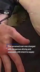 Parkour cop chases suspect over fences like Hot Fuzz