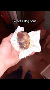 Plumbing isn't for the faint of heart. We're so grateful for the...