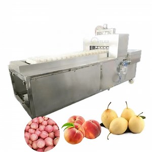 [Hot Item] Commercial Fruit Pitting Machine Plum Apple Pitting Machine Apricot Coring Machine