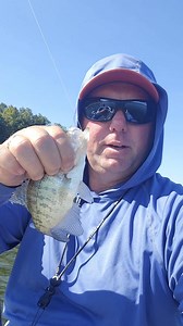 Fish on the cubes that were put out Saturday! | Mark Twain Lake Fishing Intel