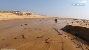 On Saturday (July 26), a four wheel-legged robotic dog was showcased at the World Artificial Intelligence Conference (WAIC) in Shanghai. Named LYNX M20, and developed by China's Deep Robotics, the robot is capable of adapting to a wide range of terrains, including grass, sand, and forest trails. | Forbes India