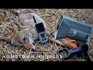 July Coyote hunting in Kentucky! (Crazy footage)