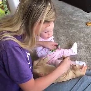 Just trimming Carrot’s nails. This is how most kittens react to getting a pawdicure right? 😹 Carrot is one extraordinary kitten. She was purring like crazy the whole time I did it. 🐈 | The Cat Named Carrot