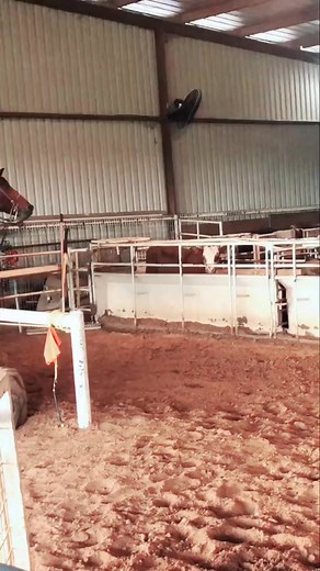 She’s always coming in hot. JJ Hampton ｜ 18x World Champ #fyp #breakawayroping #jjh #ropelikeagirl | breakawayropingjournal