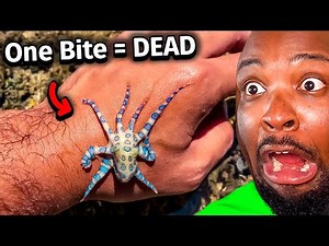 Australia has EVEN MORE Deadly Animals...