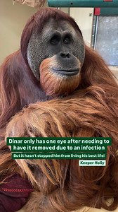 Perth Zoo on Reels | Facebook