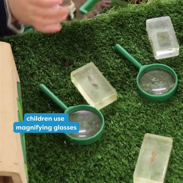 Get ready to put on your explorer hats as we dive deep into the fascinating world of animals and their habitats!  ️ ️  This experience is packed with layers of excitement and learning as children:  develop new vocabulary   learn about sizing  make connections to the real world | LEYF Nurseries | Facebook