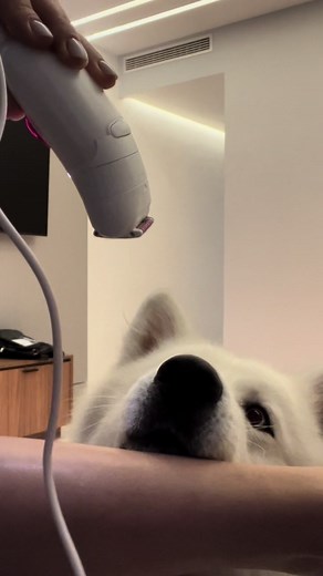 Zeus Ignacio on TikTok