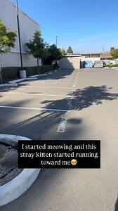 1.3M views · 10K reactions | It’s so cute❤️ #catlover #cats #kitty #CatsOfFacebook #CatLoversClub #CatsOfTheWorld #WhiskerWednesday #MeowMonday . . . #catphotographer #mycat #cats #cutecat #kucing #pet #kitty #cat #catlover #cats #kitty #CatLoversClub #CatsOfFacebook #CatsOfTheWorld #WhiskerWednesday #MeowMonday | Kitten Planet | Facebook