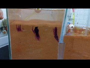 Ground Water Hydrology under Dam | Understanding Darcy's Law | Demonstration | DIY Model Making