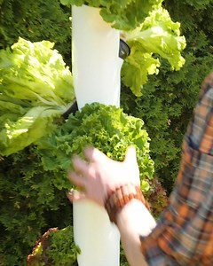 Tower Garden: Grow Your Own Fresh Food | DeMilked