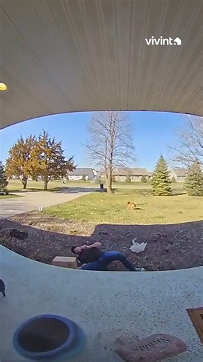 Hello, Fall. 🍂 #firstdayoffall | Vivint