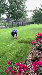 224 reactions · 18 shares |  Ever seen this strange sight? These “water bubbles” are caused by trapped water beneath the lawn—usually from poor drainage.  #lawncare #drainage #flooding #ShareYourWeather | The Weather Network | Facebook