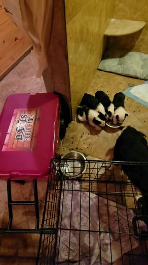 Jerome Davis on Reels