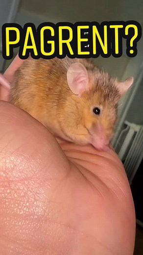 Julie Kobylarz on TikTok