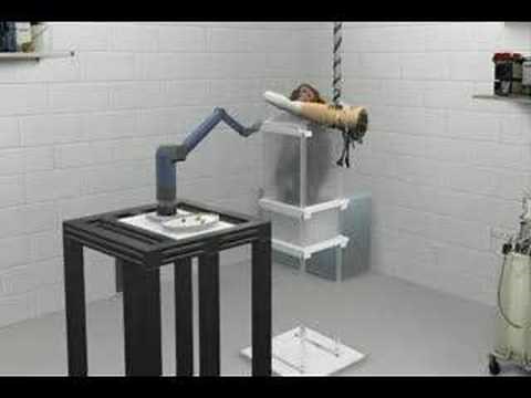 Monkey uses brain to control prothetic arm