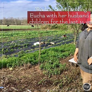 12 reactions | Meet our 2018 Vendors-Wa Lee of Thao Farm in Eucha, OK. #ottawacountyfarmersmarket via ripl.com | Carolina Ross Fans | Facebook