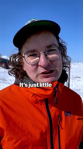 Visited Alaska: Exploring AWCC Grounds
