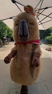 長崎バイオパークで見るカピバラのかわいい仕草