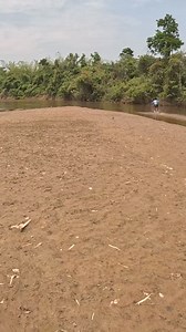 1.1M views · 28K reactions | Pesca con atarraya increíble | Pesca y Aventura | Facebook