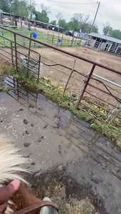 Darrell Gardner Horsemanship & Holly Molly Thank you Carl Cummings and Iron Saddle Ranch #missourimulemakeover | Missouri Mule Makeover/Ozark Mule Days