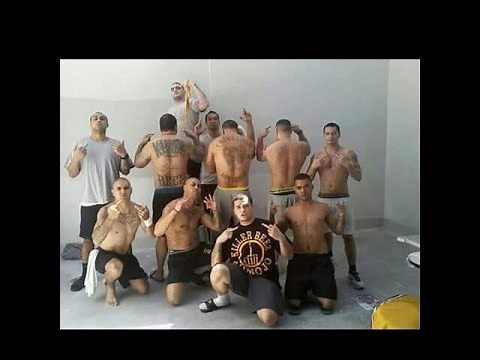 New Zealand's Largest Prison Gangs