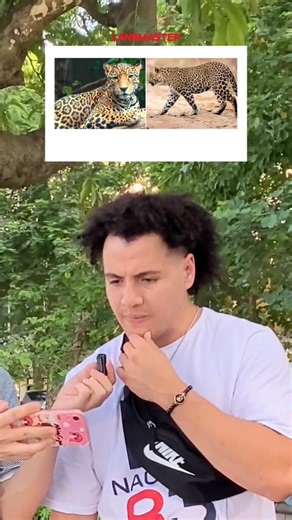 6.1K views · 20 reactions | Bạn có biết: Tortoise và Turtle khác gì nhau?  Học tiếng Anh qua động vật: Rùa cũng có "hệ" à nha!  Cùng nghe anh Tây giải đáp siêu dễ hiểu sự khác biệt giữa tên các loài động vật nhé! ⏳ #tienganhgiaotieplangmaster #tienganhgiaotiep #Langmaster | 30 Phút Tiếng Anh Mỗi Ngày | Facebook