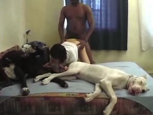 Un couple interracial et zoophile se tape deux chiens super bien dressés