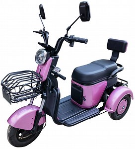 [Hot Item] Two Person Electric Trike for Adults Mobility Scooter