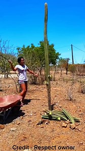 2.8M views · 6.7K reactions | How does the train drop coal on its own ~ #shorts #freefireshorts #funnyvideos #ayodhya #tiktok #shortsreels #shorts #shortsreels #viral #viralreels #trending #trendingreels #instagood #instagramreels #instagram #igreels #instagramreels #reelsinstagram #instagram #reelsinstagram #reelsviral #videocreator #trending #trendingreels #viralinstagram #craftingGU #crafting #crafts #handcraft #skill #lifehacks #5minutecrafts | south movie adda | Facebook