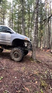 Monster Minivan takes down a tree! #reel | Grind Hard Plumbing Co