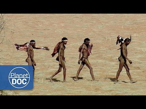 Bosquimanos del Kalahari | Tribus Africanas