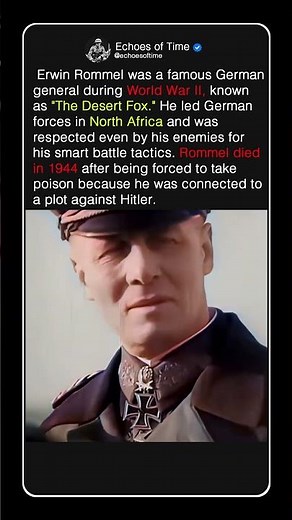 Erwin Rommel The Desert Fox’s Legacy